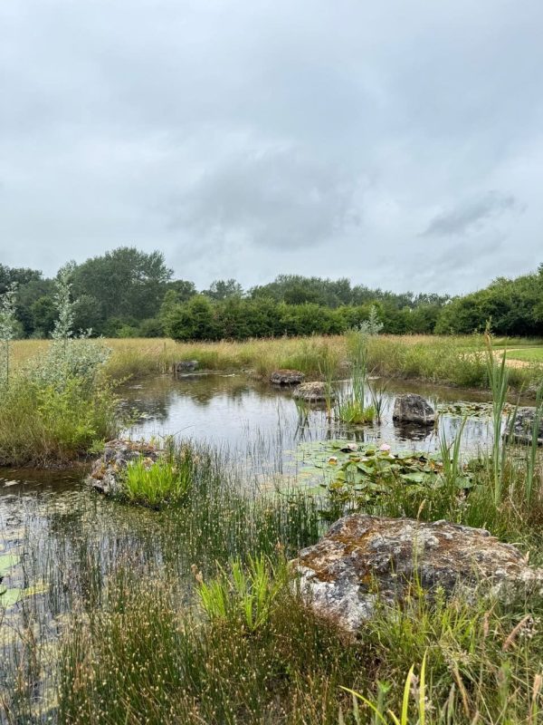 12 - Chaumont-sur-Loire 2025